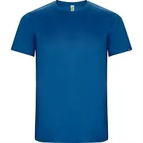 Спортивная футболка IMOLA мужская, КОРОЛЕВСКИЙ СИНИЙ 2XL